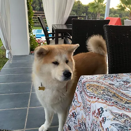 Sea Breeze At Sani Villa *