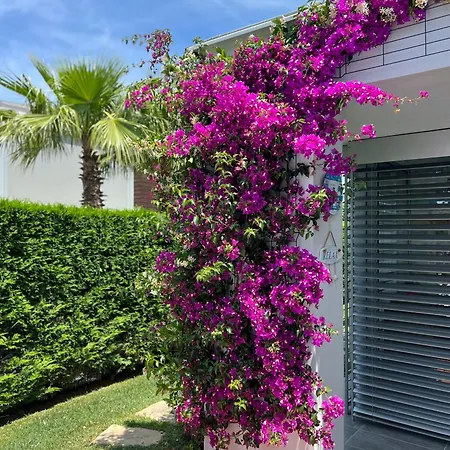 Sea Breeze At Sani Villa *